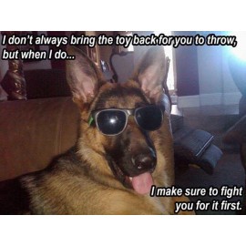 German Shepherd refrigerator magnet