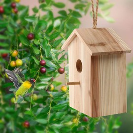 Bird nest with Strong Suction Cups and lanyards for Outdoor use - See-Through Environmentally Friendly Wooden Bird nest，Bird Nest Transparent Design for Easy Observation,Best Gift for Kids