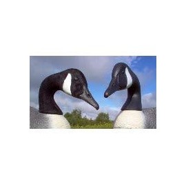 Canada Goose Head Decoy Flocking Kit - 50 Heads