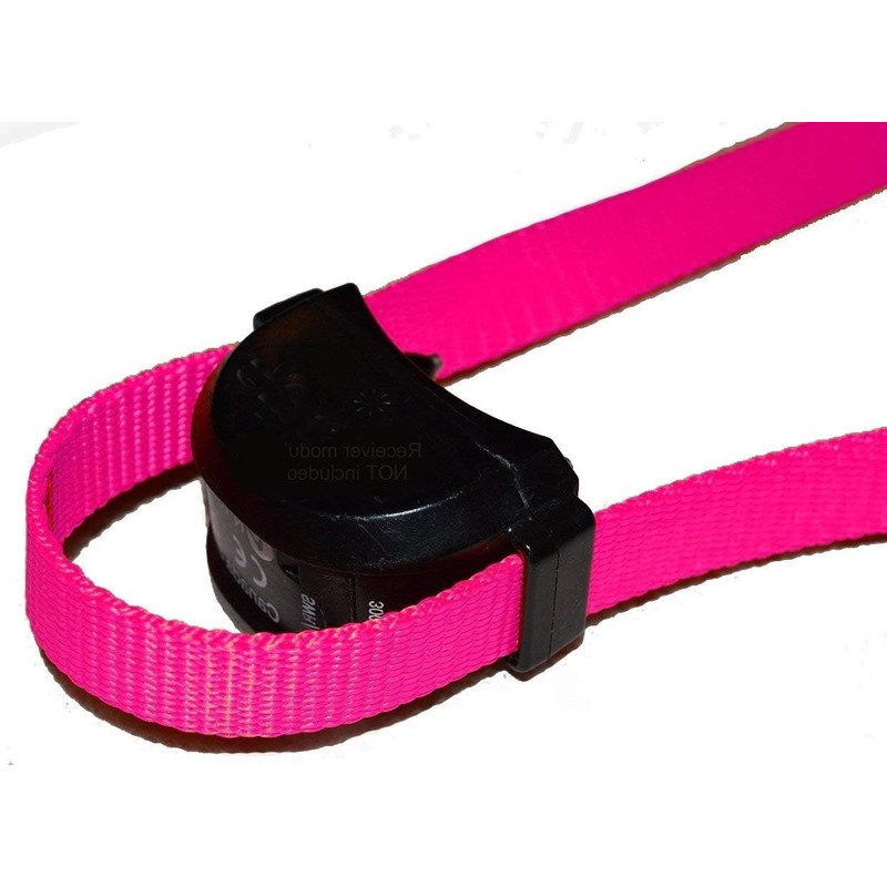 Sparky Pet Co - ECollar Replacement Strap - Easy Release