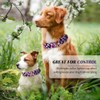 Hikiko - Collar de martingala para perros sin hebilla, collar