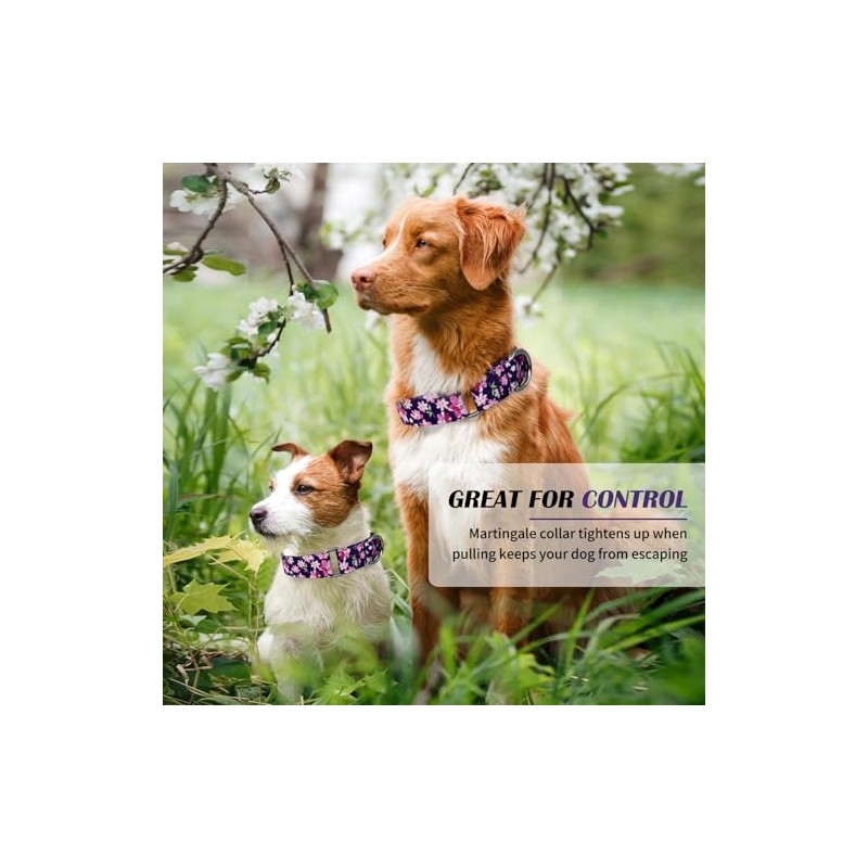 Hikiko - Collar de martingala para perros sin hebilla, collar