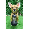 Ebros Picante Mexican Chihuahua Dog Decor Path Lighter Statue 12.5"Tall