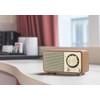Sangean Desktop Radio/Case Radio