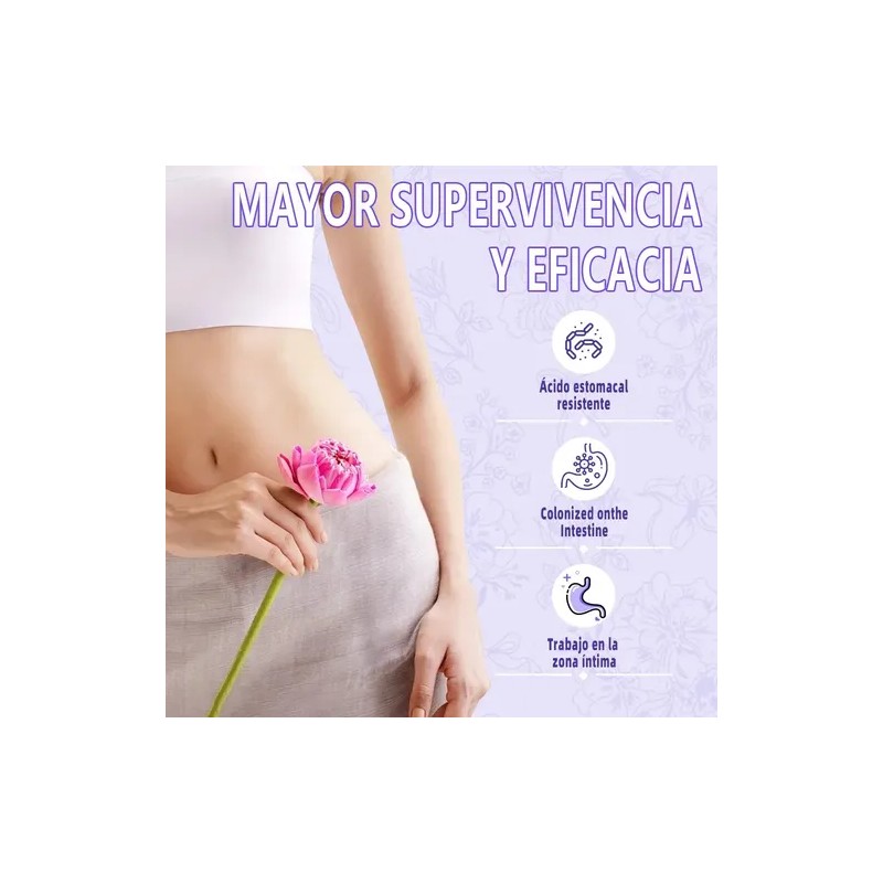 Gwynne Suplemento Menopausia Mujeres Cáps Cápsulas Equilibrio Hormona Femenina Sudores
