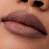 Catrice Matt Pro Ink Non-Transfer Liquid Lipstick, No. 160, Brown,