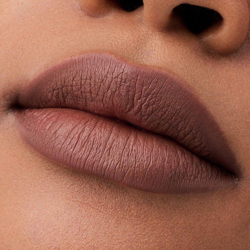Catrice Matt Pro Ink Non-Transfer Liquid Lipstick, No. 160, Brown,