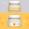 Burt's Bees Burt's Bees Baby Multipurpose Ointment moisturizing for dry