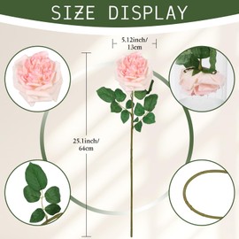 IPOPU Real Touch Austin Rose Peony Artificial Flowers 3PCS Big Bloom 5.12" Realistic Flowers 25.1" Long Stem Flowers for DIY Wedding Bouquets Home Party Decor(Peach)