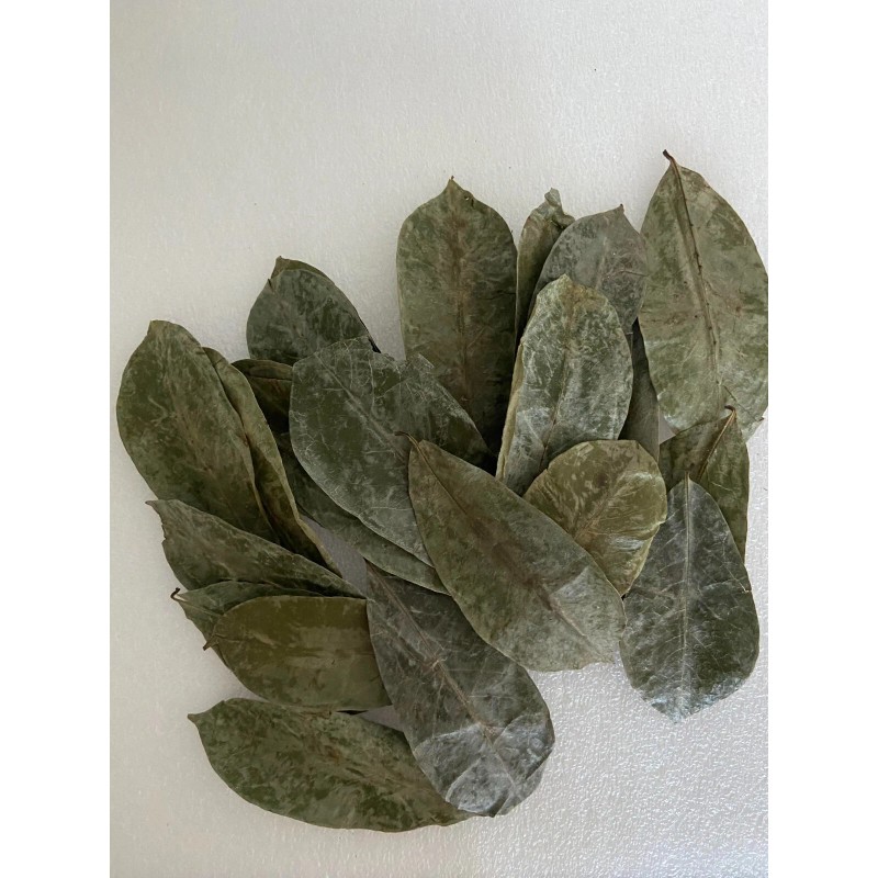 KAHIDJI Soursop Graviola Guyabano 100% Pure Leaves 120 g (
