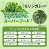 業務用 毎日モリンガ粒 270粒 約3ヶ月分 サプリメント 健康 健康サプリ 美容サプリ RoyalBS