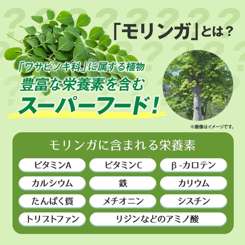 業務用 毎日モリンガ粒 270粒 約3ヶ月分 サプリメント 健康 健康サプリ 美容サプリ RoyalBS