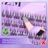 LZM Cluster Lashes Kit Individual Eyelashes - Lash Clusters Individual