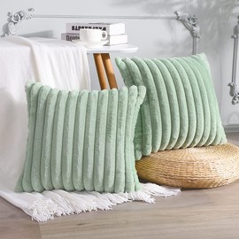 Soleebee Set of 2 Throw Pillow Covers Soft Cozy Velvet Pillowcase Faux Rabbit Fur Couch Cover for Couch Sofa Bed Chair Home Decorative Pillows Cover (50x50cm, Light Green)