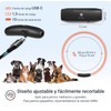 PAJ GPS – Collar LED+GPS Tracker Perros, 3 Meses Suscripción