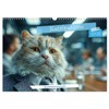 Katzipations - Professional cats in action, US-Version (Wall Calendar 2026