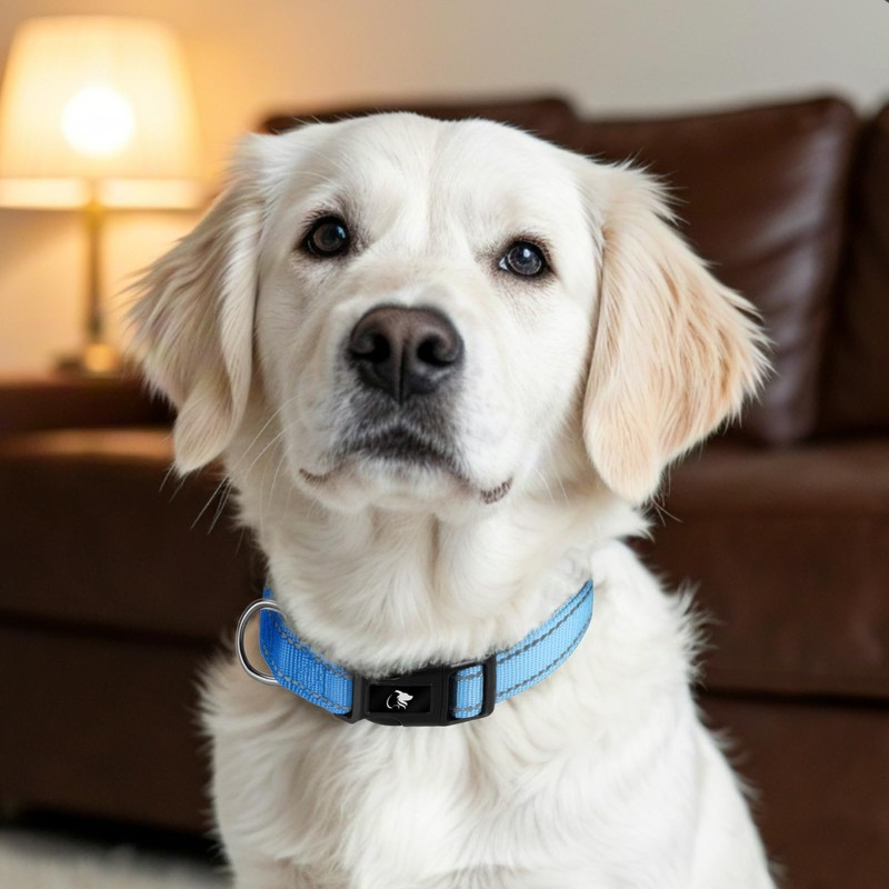 Reflective Nylon Pet Collar with Quick-Release Buckle – Adjustable, Durable,