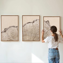 SIGNINART Large Tree Ring Framed Canvas Wall Art Set, Rustic Beige Nature Wooden Wall Decor, Neutral Wood Stump Artwork, Modern Art Prints for Bedroom Living Room Office 16"x24"x3