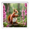 Red Squirrel Coaster Set. 4 different Squirrel Pictures on 10cm