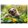 Sloths - Relaxed Through the Year (Desk Calendar 2025 DIN