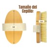 Set Cepillo Corporal Facial Y Esponja Pulpa De Madera Exfo