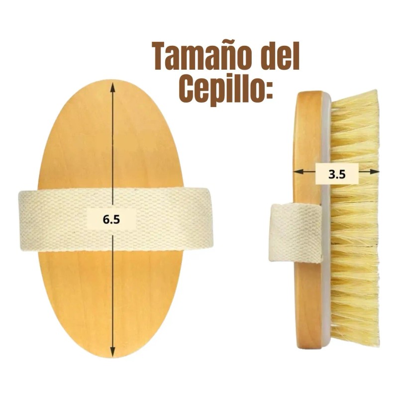 Set Cepillo Corporal Facial Y Esponja Pulpa De Madera Exfo