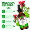 Aceite Monarda Antibacteriano Piel Cuidado Cabello, Antiedad Monarda