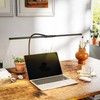 HOMCOM LED Desk Lamp with Clamp, Double Head Table Lamp