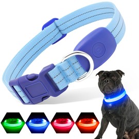PZRLit Light Up Dog Collars Rechargeable, Reflective LED Glow Dark Dog Collar for Small Medium Large Dogs, Adjustable Pet Dog Lights for Safe Night Walk-Blue, Large