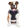 BTDCFY Step in Mesh Dog Harness and Leash Set Breathable
