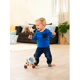 Eichhorn EH Pull Along Animal Dog