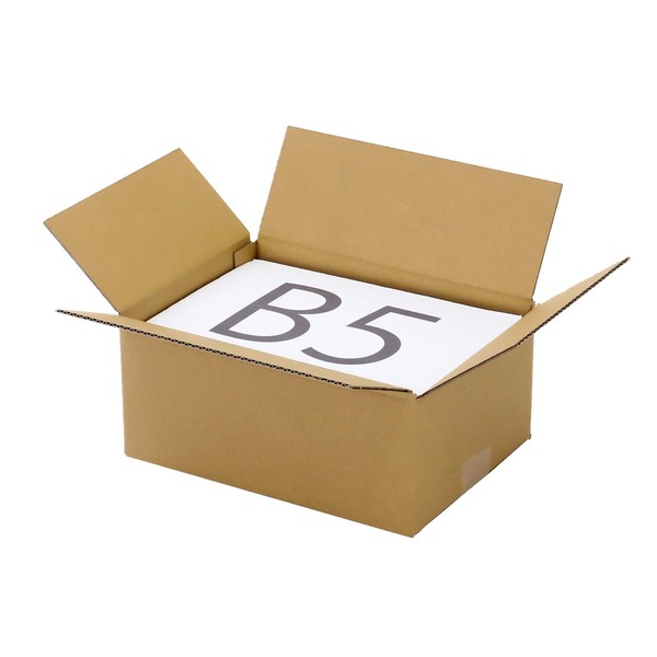 Earth Cardboard, 60 Size, Set of 120, B5, Depth 4.4 inches (114 cm), Cardboard, 2.3 inches (60 mm), Package ID0041