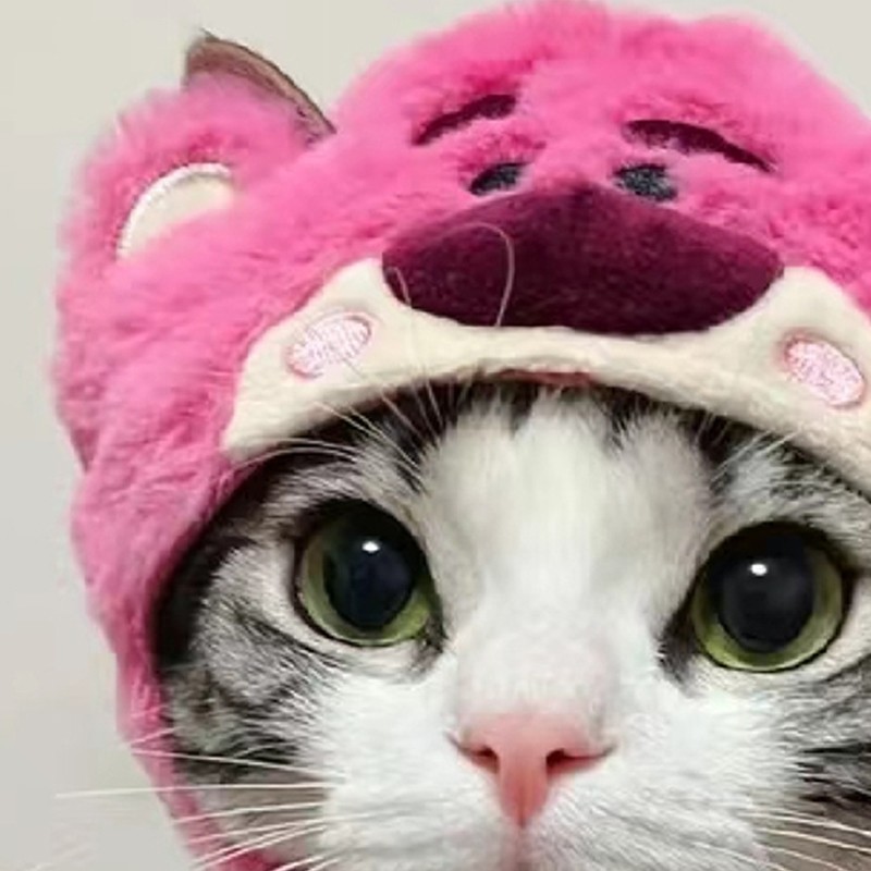 Cat Hat Cute Design Adjustable Soft Comfortable Polyester Portable Pet