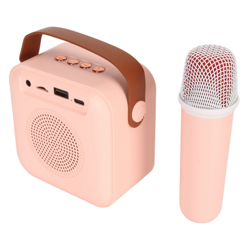 Mini Karaoke Machine Set Portable Bluetooth Speaker with 1 Wireless