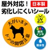 Dogs Have Doors, Door Opening/Closing Caution, Stickers, 3.5 inches (90
