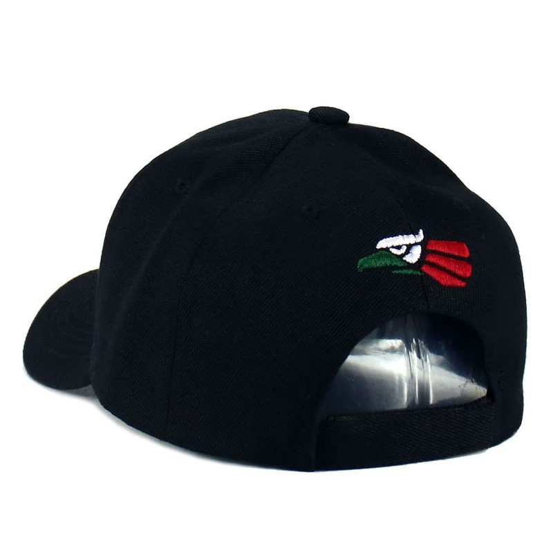 Mexican Mexico Hat Hecho En Mexico Eagle Aguila Snapback Flat