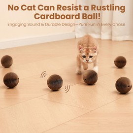 6-Pack Cardboard Cat Ball Toy with Bell – Interactive Cat Toy for Chasing, Batting, and Exercise – Durable & Irresistible Fun for Cats