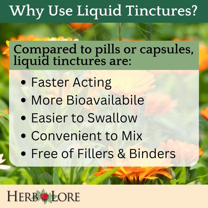 Herb Lore Quiet Cough Tincture - Mullein Leaf Drops for