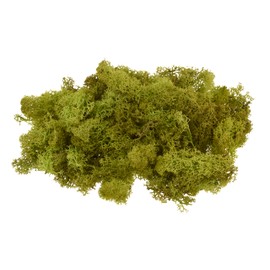 Wiedenmann 100 g Real Iceland Moss, Modelable, Decoration, Modeling, May Green, 100 g, Natural Product