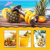 Tech Traders New Stainless Steel Fruit Pineapple Slicer