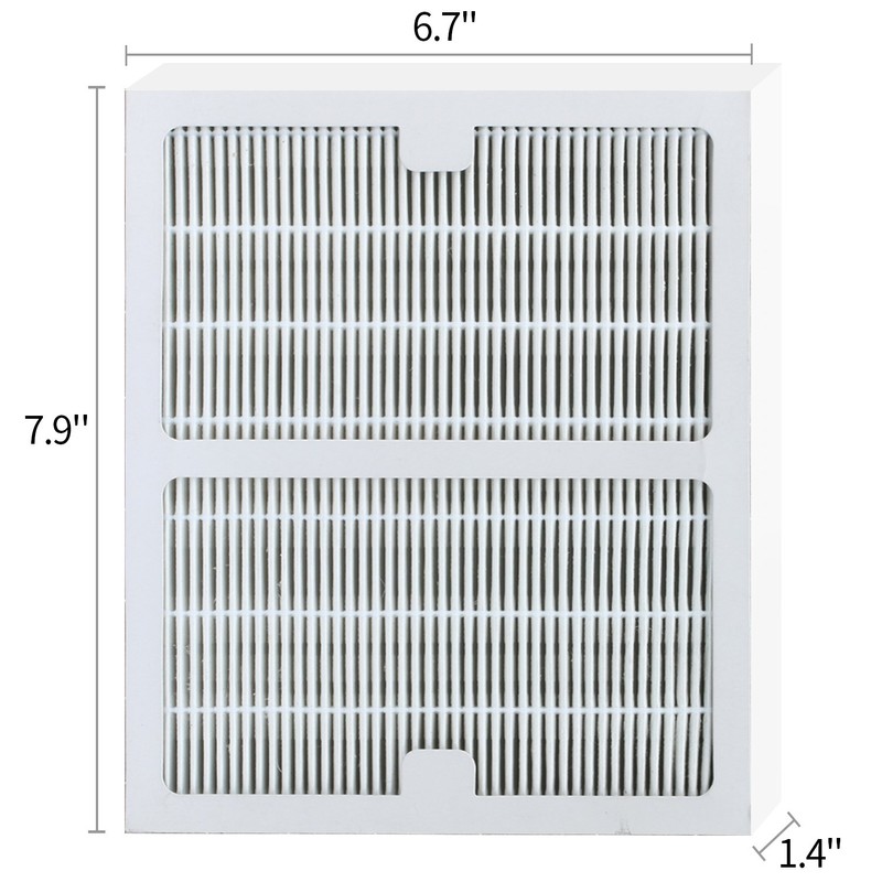 FilledwithLove - 1 HEPA Filter & Carbon Filter Compatible with