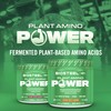 BioSteel Plant-Amino Power BCAA Powder, Fermented Plant-Based Amino Acids, Non-GMO