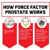 Prostate - Stinging Nettle, Saw Palmetto, Beta-Sitosterol - Urinary Tract