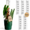 THICCLY V3 Large GrowPole - Front Opening, Stackable Plastic Moss