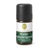 Primavera Wellbeing Series Blended Essential Oil Forest Walk 5ml PV18518