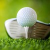 FINGER TEN 1 1/2" Plastic Golf Tees Short Tee 38mm