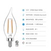 ecosmart 40-W Equivalent B11 Non-Dimmable Clear Glass Filament Vintage LED
