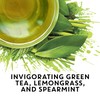 TAZO Tea K-Cups, Green Tea, Zen, 22 Pods