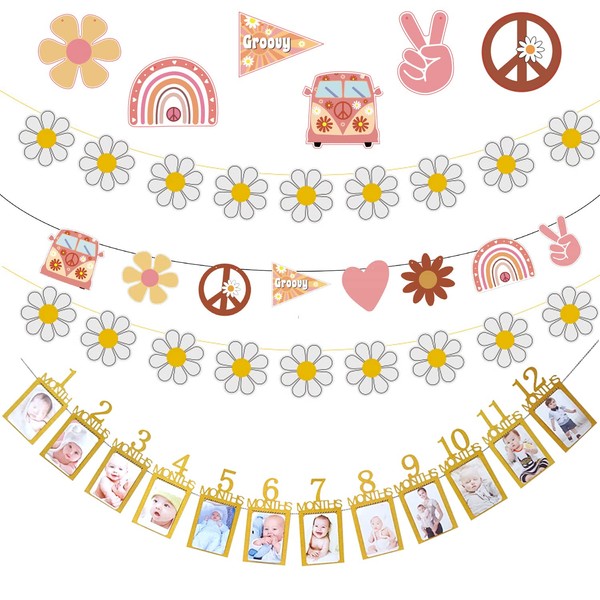 Groovy Daisy Banner Party Decorations with 12 Months Photo Banner