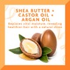 Cantu Leave-In Conditioning Mist with Pure Shea Butter, 8 fl